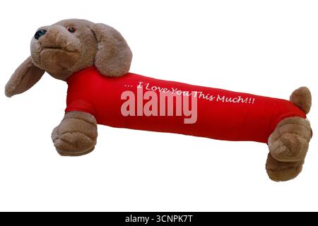 Chien de saucisse jouet mignon portant un long manteau rouge avec je vous aime autant sur elle isolé sur fond blanc Banque D'Images