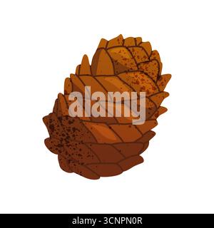 Icône de vecteur de cône d'épinette. Graine de conifère à feuilles persistantes. Forêt de cèdres ou élément boisé alpin. Gousse pour plantes en bois. Elément de décoration de Noël. Nature hivernale ou automnale. Signe biologie et botanique. Illustration de Vecteur