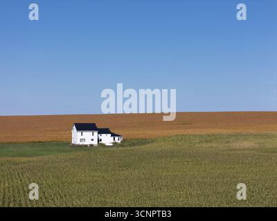 Maison de ferme isolée, entourée de maïs et de soja, Stone Arabia, Mohawk Valley, comté de Montgomery, État de New York. Banque D'Images