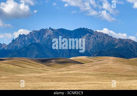 Prairie du Xinjiang et paysage de montagne de Tianshan sous ciel bleu Banque D'Images