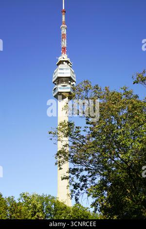 Tour Avala à Belgrade. La nature rencontre l'architecture moderne. Destination de voyage populaire, symbole de l'identité de la capitale serbe, vue d'ingénierie yougoslave Banque D'Images