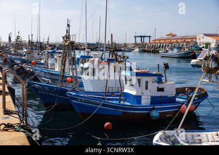 Tarifa, Espagne. 21 septembre 2025. De nombreux bateaux de pêche sont amarrés aux jetées pour les bateaux de pêche et d'excursion dans le port de Tarifa (province de Cadix, Andalousie, Espagne) le 21/09/2025. La pêche joue toujours un rôle dans la culture locale de Tarifa, qui est traditionnellement une ville de pêcheurs. (ville, ville, vue sur la ville, image symbole, photo symbole, image thème, image générale, photo thème) crédit : Matthias Balk/dpa/Alamy Live News Banque D'Images