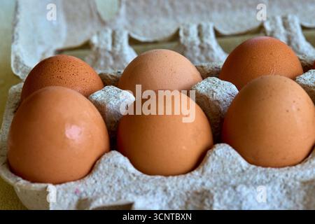 Un mélange parfait d'œufs bruns et mouchetés, tout droit de la ferme. Chaque oeuf est un petit travail de la nature, emballé avec de la fraîcheur et de la saveur riche. Si Banque D'Images