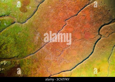 Vue de dessus du relief coloré du bassin de la rivière volcanique Vivid en Islande. Banque D'Images