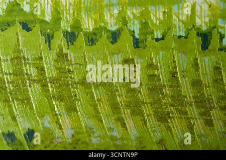 La surface vert vif présente des traits complexes et superposés qui créent une texture dynamique, réfléchissant la lumière et ajoutant de la profondeur à l'œuvre pendant la journée Banque D'Images