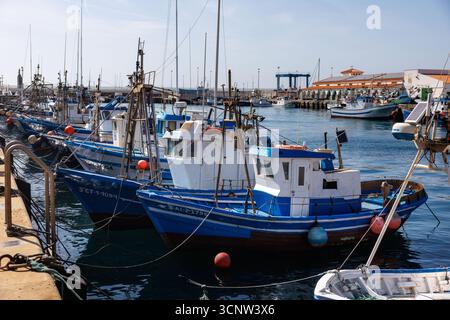 Tarifa, Espagne. 21 septembre 2025. De nombreux bateaux de pêche sont amarrés aux jetées pour les bateaux de pêche et d'excursion dans le port de Tarifa (province de Cadix, Andalousie, Espagne) le 21/09/2025. La pêche joue toujours un rôle dans la culture locale de Tarifa, qui est traditionnellement une ville de pêcheurs. (ville, ville, vue sur la ville, image symbole, photo symbole, image thème, image générale, photo thème) crédit : Matthias Balk/dpa/Alamy Live News Banque D'Images