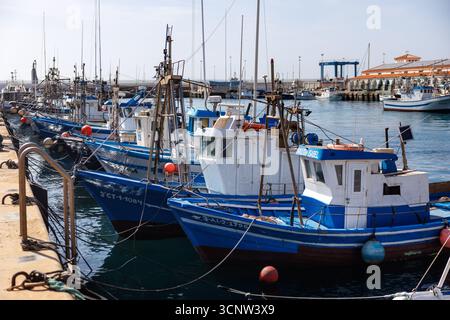 Tarifa, Espagne. 21 septembre 2025. De nombreux bateaux de pêche sont amarrés aux jetées pour les bateaux de pêche et d'excursion dans le port de Tarifa (province de Cadix, Andalousie, Espagne) le 21/09/2025. La pêche joue toujours un rôle dans la culture locale de Tarifa, qui est traditionnellement une ville de pêcheurs. (ville, ville, vue sur la ville, image symbole, photo symbole, image thème, image générale, photo thème) crédit : Matthias Balk/dpa/Alamy Live News Banque D'Images