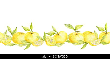 Bordure horizontale de fruits de yuzu jaune avec des feuilles vertes fraîches dans l'illustration de l'aquarelle, clipart sans couture dessiné à la main. Excellent pour les bordures de tissu, la papeterie, l'art de la cuisine et l'emballage de produits. Banque D'Images