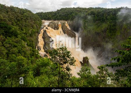 Une vue imprenable sur Barron Falls dans le Queensland, en Australie, où la puissante cascade coule à travers la forêt tropicale luxuriante et verdoyante, créant une atmosphère sereine Banque D'Images