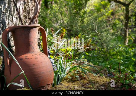 Amphore en terre cuite à la base d'un vieux bouleau avec des pierres couvertes de mousse, photographiée en avril dans un jardin boisé, Royaume-Uni Banque D'Images