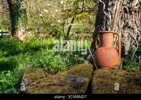 Amphore en terre cuite à la base d'un vieux bouleau avec des pierres couvertes de mousse, photographiée en avril dans un jardin boisé, Royaume-Uni Banque D'Images