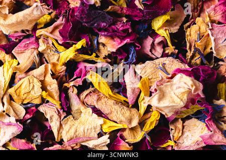 Une collection vibrante de pétales de fleurs comestibles séchées, avec des nuances de rouge, jaune et bleu. Idéal pour une utilisation dans les créations culinaires, les garnitures florales, Banque D'Images
