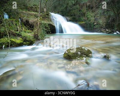 Cascade de forêt calme avec de l'eau fluide - Une photo longue exposition d'une belle cascade en cascade dans une piscine claire, entourée d'un vert luxuriant Banque D'Images