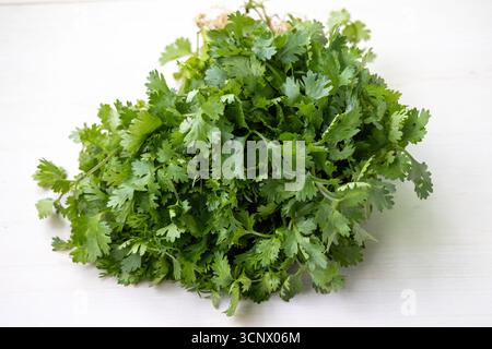 Feuilles de coriandre fraîches sur un fond en bois. Son nom scientifique est Coriandrum sativum. Localement au Bangladesh, il est appelé Dhone Pata et aussi savoir Banque D'Images