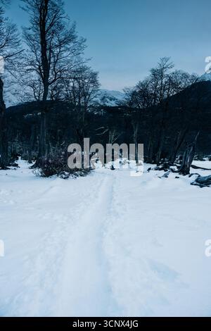 Un étroit sentier enneigé mène à travers une forêt sombre et sans feuilles en Patagonie pendant l'hiver. Le paysage sombre présente de la neige, des arbres et des mou lointains Banque D'Images