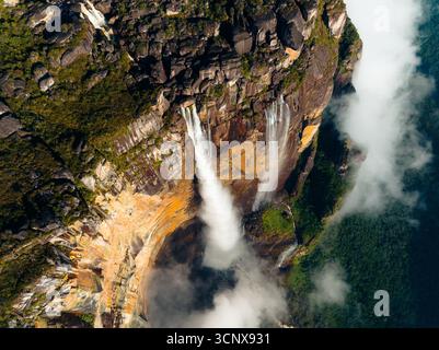Vue aérienne des chutes d'Angel descendant la face rocheuse et abrupte de Auyán-tepui, un spectacle où la brume et l'eau fusionnent dans une exposition à couper le souffle, Parc national de Canaima, Bolívar, Venezuela. Banque D'Images