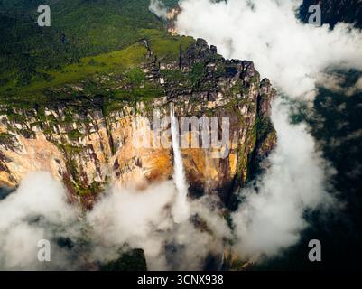 Vue aérienne des chutes d'Angel descendant la face escarpée de la montagne Auyán-tepui, entourée de verdure luxuriante et de nuages tortueux, parc national de Canaima, Bolívar, Venezuela. Banque D'Images