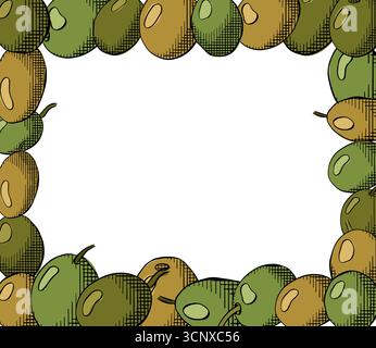 Modèle de rectangle de baie d'olive. Illustration vectorielle en couleur à l'encre de la ligne graphique. Design botanique méditerranéen pour paquet bannière, affiche, bande d'emballage Illustration de Vecteur