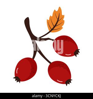 Une charmante illustration vectorielle d'une jolie branche de rose musquée avec trois baies et une feuille d'orange vibrante. Le design capture la beauté naturelle de Illustration de Vecteur