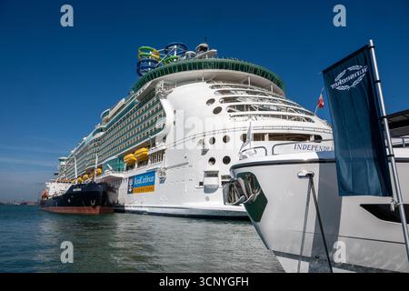 Un grand bateau de croisière nommé « Independence of the Seas » est amarré à côté du Southampton Boat Show avec plusieurs yachts amarrés à proximité. Banque D'Images