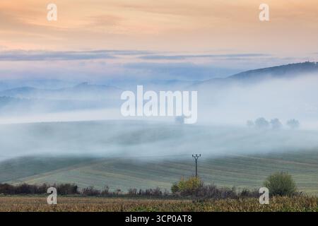 Paysage brumeux avec des collines ondulantes partiellement obscurcies par le brouillard avec des arbres et le ciel en arrière-plan. Banque D'Images