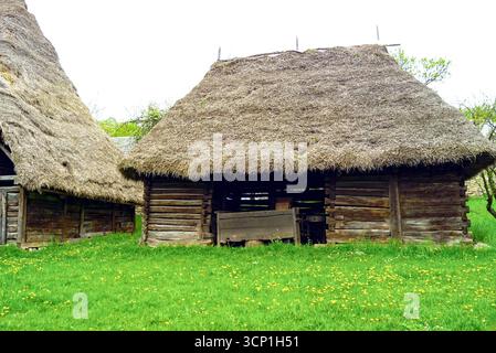 Fermes roumaines traditionnelles au toit de chaume : architecture rurale dans le musée ethnographique Romulus Vuia, Cluj-Napoca. Bâtiments en bois avec toiture en roseau Banque D'Images