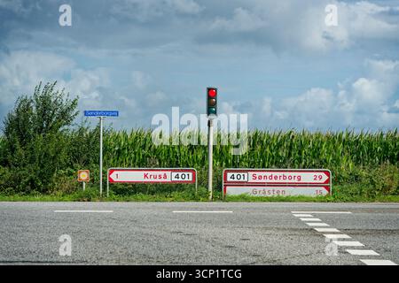 Un feu rouge arrête les voitures à côté d'un champ de maïs, les flèches sur les panneaux de guidage pointent à gauche vers Krusa et à droite vers Sonderborg et Grasten. Noms danois et ro Banque D'Images