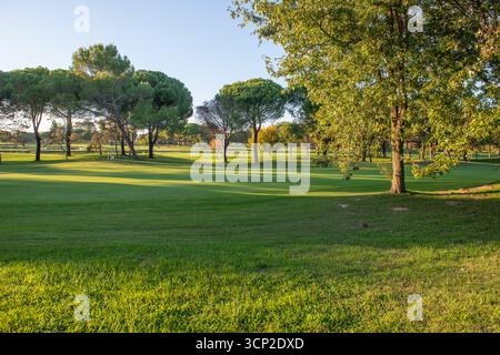 Terrain de golf avec arbres et étang Banque D'Images