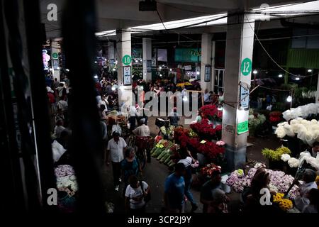 Mexique, CDMX, Mexique. 23 septembre 2025. Le marché le plus important spécialisé dans les fleurs de toutes sortes est le marché jamaïcain, situé à Mexico. Aujourd'hui marque son 68e anniversaire et est l'un des principaux points de vente et de distribution de fleurs de divers états à travers le pays. Avec de la musique live et de la danse dans ses allées, les vendeurs, les employés et les clients célèbrent un autre anniversaire. Ce marché a ouvert ses portes en 1957 dans le cadre de la modernisation de la ville. Il a des racines préhispaniques, comme il était et continue d'être le centre de commerce de fleurs le plus important, relié à cette époque par des rivières ou CA Banque D'Images