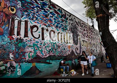 Mexique, CDMX, Mexique. 23 septembre 2025. Le marché le plus important spécialisé dans les fleurs de toutes sortes est le marché jamaïcain, situé à Mexico. Aujourd'hui marque son 68e anniversaire et est l'un des principaux points de vente et de distribution de fleurs de divers états à travers le pays. Avec de la musique live et de la danse dans ses allées, les vendeurs, les employés et les clients célèbrent un autre anniversaire. Ce marché a ouvert ses portes en 1957 dans le cadre de la modernisation de la ville. Il a des racines préhispaniques, comme il était et continue d'être le centre de commerce de fleurs le plus important, relié à cette époque par des rivières ou CA Banque D'Images