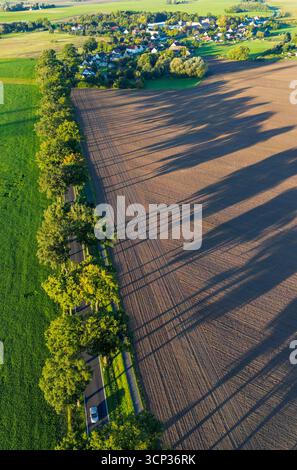 Petersdorf, Allemagne. 24 septembre 2025. Le soleil du matin projette de longues ombres depuis les arbres de l'avenue sur un champ (vue aérienne avec un drone). Il n'y a guère de pluie et des températures constantes à attendre pour Berlin et Brandebourg dans les prochains jours. Le Service météorologique allemand (DWD) prévoit des températures de 16 à 18 degrés avec beaucoup de soleil aujourd'hui. Crédit : Patrick Pleul/dpa/ZB/dpa/Alamy Live News Banque D'Images