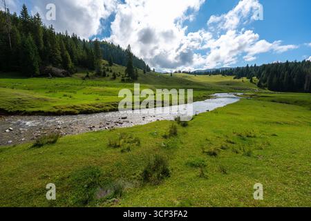 Ponor Creek serpentant à travers Poiana Ponor prairie avec des moutons pâturant sur la colline et les montagnes boisées des Carpates en arrière-plan, nation Apuseni Banque D'Images