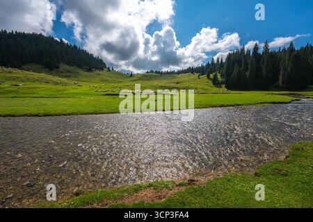 Ponor Creek serpentant à travers Poiana Ponor prairie avec des moutons pâturant sur la colline et les montagnes boisées des Carpates en arrière-plan, nation Apuseni Banque D'Images
