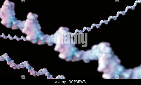 Rendu 3d de l'illustration moléculaire de l'ARN ou de l'acide ribonucléique. Banque D'Images