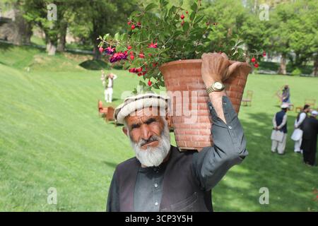 Un jeune jardinier afghan déplace des fleurs dans le jardin Paghman de Kaboul Banque D'Images