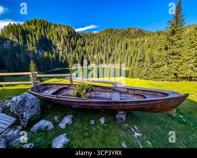 Lac Jezero Na Planini PRI Jezeru, Un lac glaciaire (1453 M) dans le parc national du Triglav en Slovénie. Au premier plan est un vieux bateau en bois planté W Banque D'Images