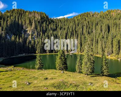 Lac Jezero Na Planini PRI Jezeru, Un lac glaciaire situé à une altitude de 1453 M, entouré par Une forêt d'épinettes sombres dans le parc national du Triglav Banque D'Images