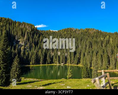 Lac Jezero Na Planini PRI Jezeru, Un lac glaciaire situé à une altitude de 1453 M, entouré par Une forêt d'épinettes sombres dans le parc national du Triglav Banque D'Images