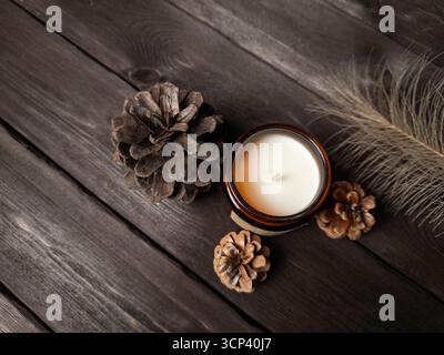 Un plat minimaliste avec une bougie en verre brun, des pommes de pin et une plume sur une surface en bois sombre. Idéal pour saisonnier, bien-être, ou intérieur de Banque D'Images