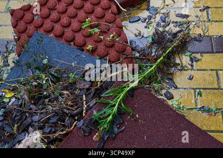 Hong Kong - 24 septembre 2025 : les dégâts causés par le super typhon Ragasa à l'approche de Hong Kong, comme en témoignent les débris du parc LOHAS Waterfront Promenade Playground. Banque D'Images