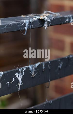 Mobilier de jardin endommagé par un incendie. Banque D'Images