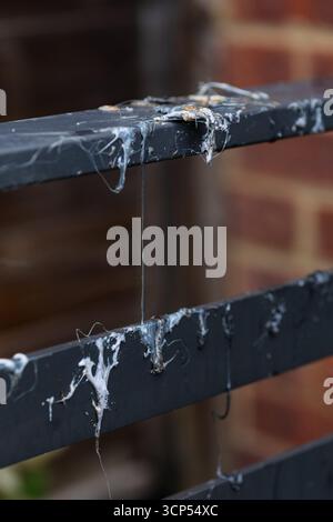 Mobilier de jardin endommagé par un incendie. Banque D'Images