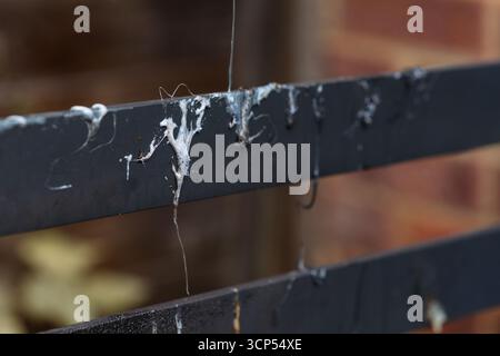 Mobilier de jardin endommagé par un incendie. Banque D'Images