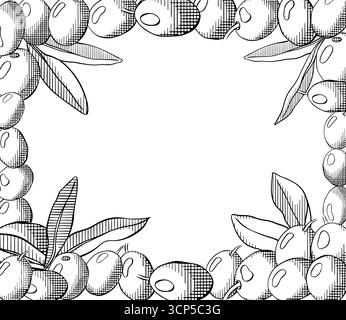 Olives fond. Olive Noir et blanc Berry et feuilles modèle de cadre rectangle. Illustration vectorielle d'encre de ligne graphique. Menu méditerranéen desi Illustration de Vecteur