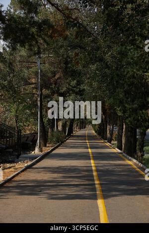 Piste cyclable sur chemin piétonnier, entourée d'arbres dans le parc de la ville. Banque D'Images
