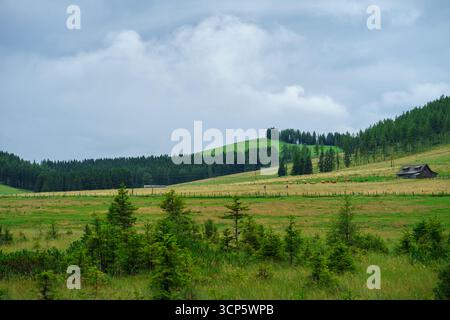Collines boisées des Alpes autrichiennes. Prairies herbeuses colorées parmi les arbres sur une colline. Beau paysage naturel sur une journée Banque D'Images