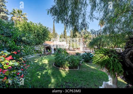 Jardin vert luxuriant avec maison et arbres dans la maison de vacances méditerranéenne de luxe Banque D'Images