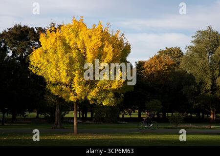 Une personne faisant du vélo à Clissold Park, au nord de Londres. Date de la photo : mercredi 24 septembre 2025. Banque D'Images