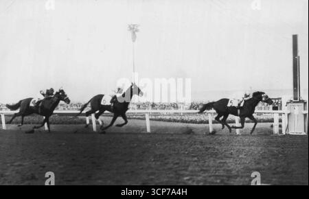 Australian Horse battu dans les débuts américains -- Windfields rentre à la maison le vainqueur dans la sixième course d'aujourd'hui à Santa Anita dans laquelle Shannon II d'Australie (4) a fait son arc de gazon américain en courant troisième et Endeavor II d'Argentine (6) a couru deuxième. 28 janvier 1948. (Photo de AP Wirephoto). Banque D'Images