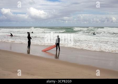 Silhouettes de surfeurs sur la plage Banque D'Images
